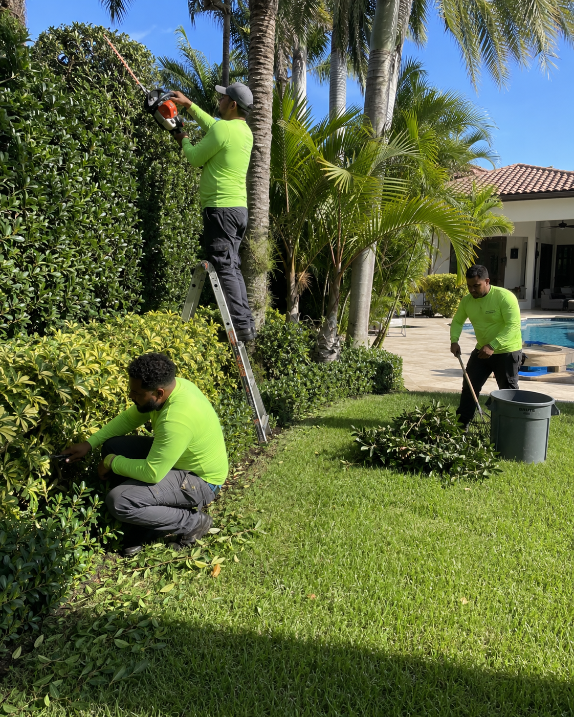 Property cleanup and outdoor landscape refresh