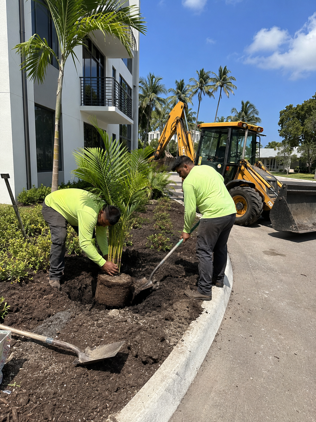 Fresh landscape installation at a property